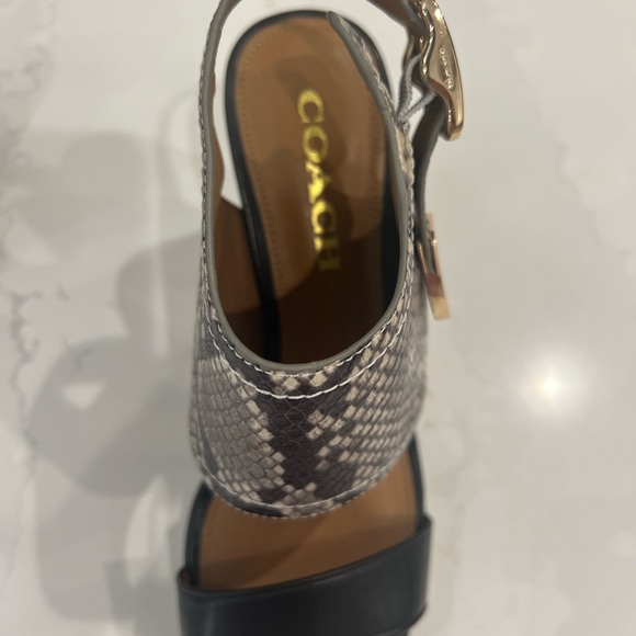 Coach Leather Snakeskin - Picture 4 of 6